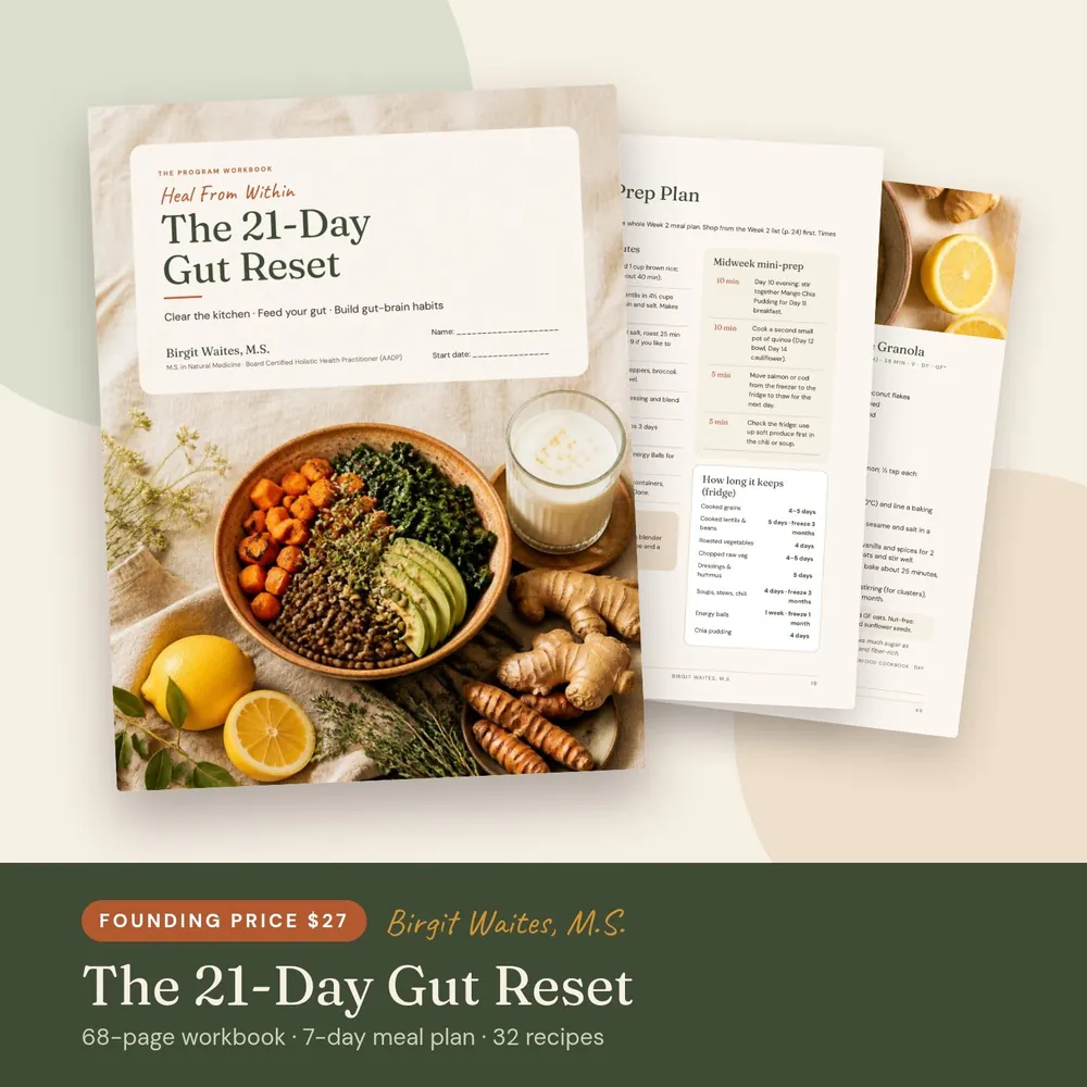 Heal From Within: The 21-Day Gut Reset workbook by Birgit Waites, M.S.